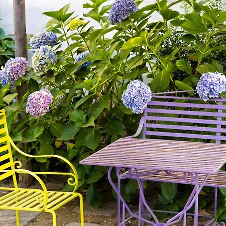 Maison Di Fiore B&B 4*