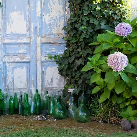 Bed & Breakfast Maison Di Fiore