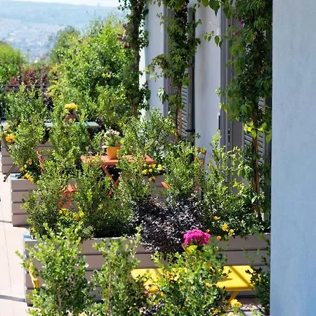 Maison Di Fiore Bed & Breakfast Ercolano