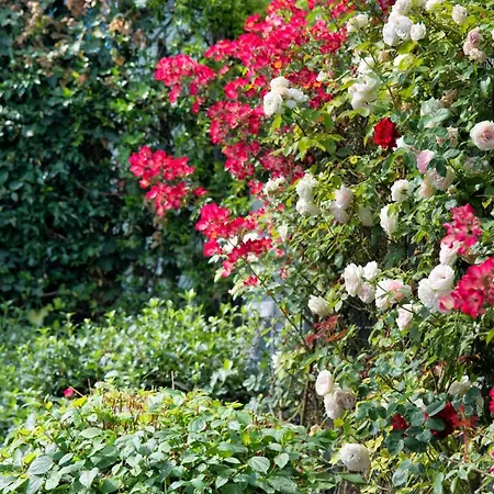 Maison Di Fiore Ercolano